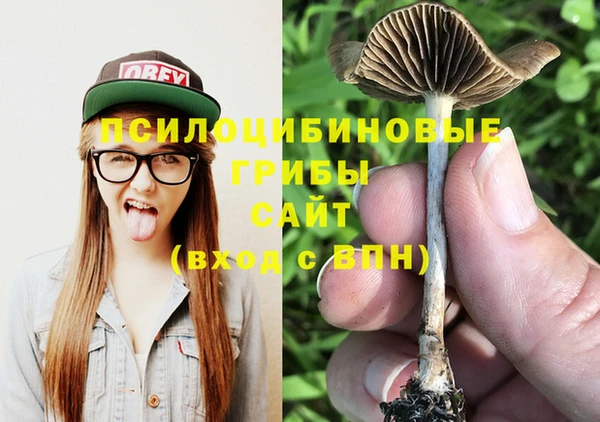 PSILOCYBIN Верхний Тагил